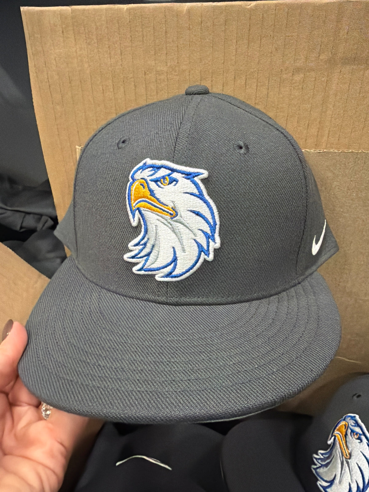 Nike Gray Eagles Hat (fitted)